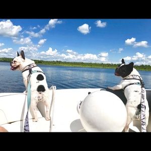 Meet your Posher, Symone